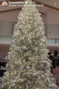 Kim Kardashian Kicks off Christmas 2024 Prep With Giant Tree