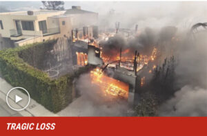 Pacific Palisades Wildfire Claims the Homes of Leighton Meester, Adam Brody, and Anna Faris